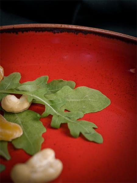 Салатник полуглубокий d 22 см h 4 см 835 мл фарфор цвет красный Seasons