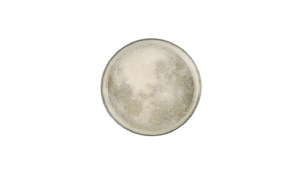Тарелка с вертикальным бортом d 27 см h 2,2 см, Stoneware Selene