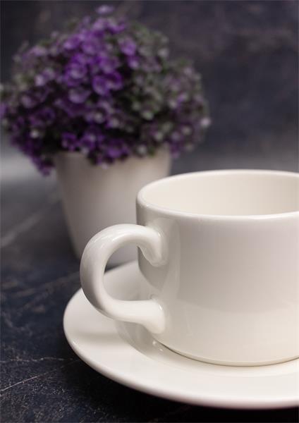 Чайная пара Ariane Prime 230 мл