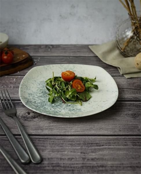 Тарелка квадратная 22CM                                       