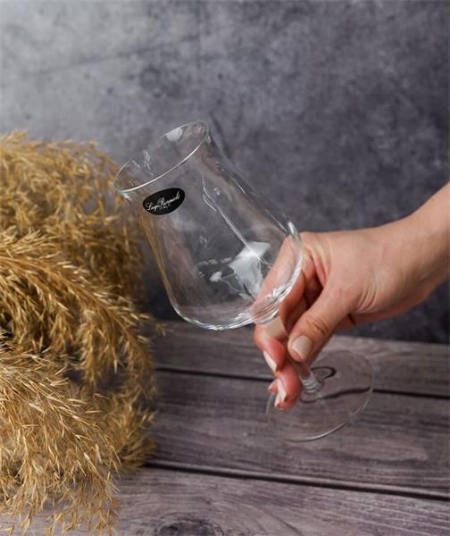 Бокал для пива 420 мл, h 20 см, d 8,9 см Birrateque 