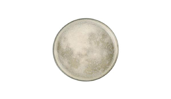 Тарелка с вертикальным бортом d 30 см h 2,2 см, Stoneware Selene