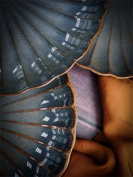 Тарелка d 20,8 см h 2,8 см , ASTERA OCEAN