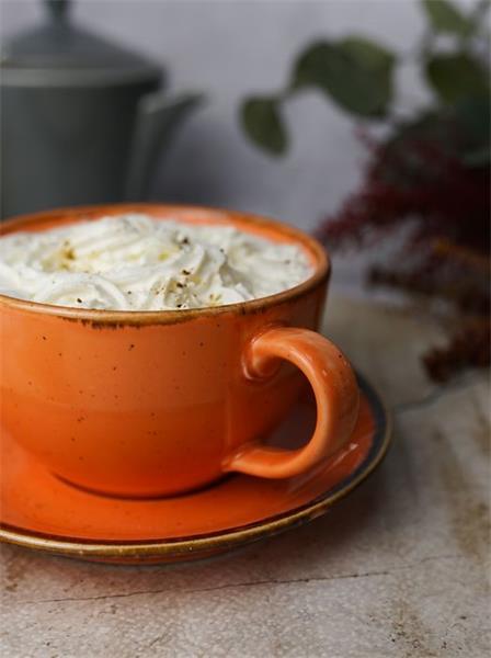 Porland Набор чайных пар 340 мл Сизонс (4 предмета), оранжевый