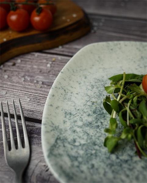 Тарелка квадратная 22CM                                       