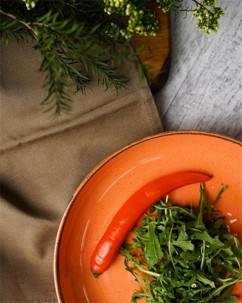 Porland Набор салатников Сизонс 22 см (2 предмета), оранжевый, 835 мл