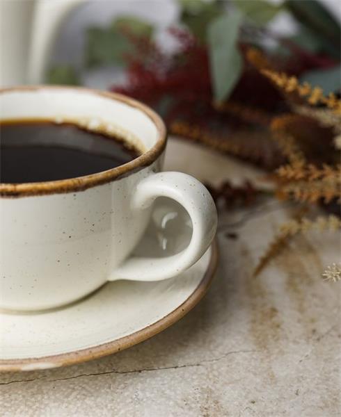 Чашка 340 мл фарфор цвет бежевый Seasons