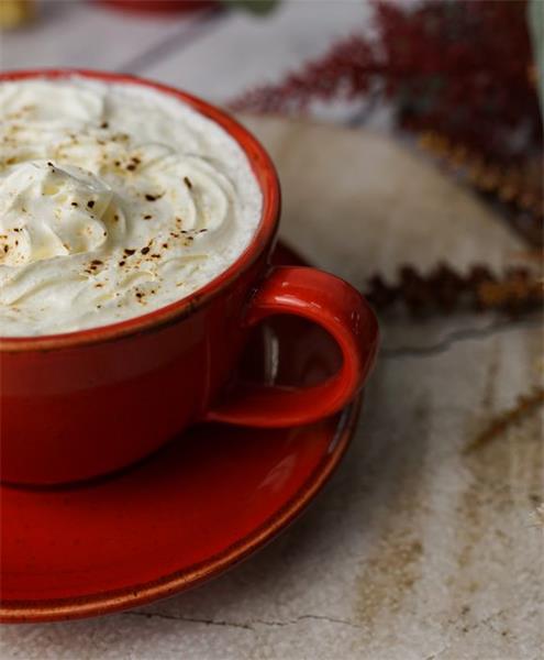 Чашка 340 мл фарфор цвет красный Seasons