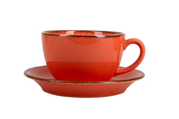 Porland Набор чайных пар 340 мл Сизонс (4 предмета), оранжевый