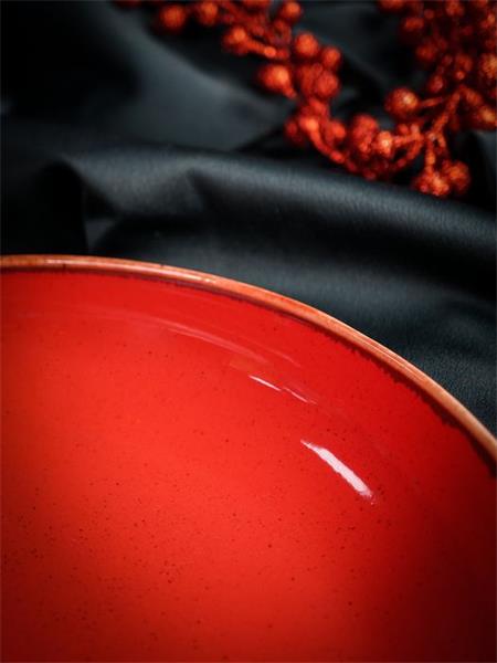 Салатник полуглубокий d 22 см h 4 см 835 мл фарфор цвет красный Seasons