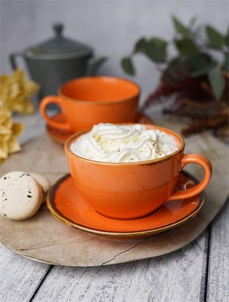 Porland Набор чайных пар 340 мл Сизонс (4 предмета), оранжевый