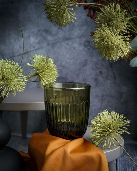Стакан O/F 290 мл, h 9,5 см, d 8 см, цвет зеленый OUESSANT OLIVE	